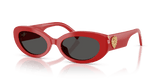 Full Red / Dark Grey (308887)