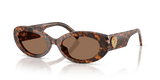 Leo Transparent / Dark Brown (347073)
