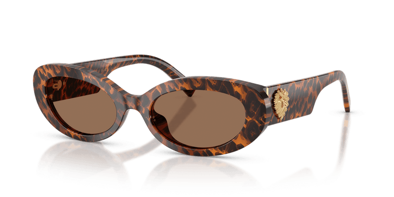 Dolce & Gabbana DG4537 in Leo Transparent / Dark Brown (347073) - Alternate View