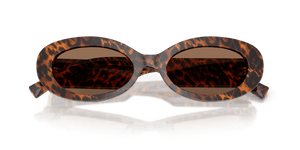 Leo Transparent / Dark Brown (347073)