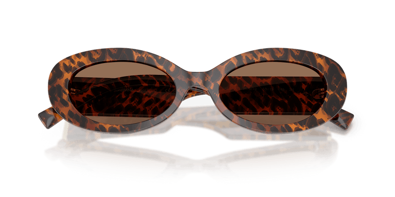 Dolce & Gabbana DG4537 in Leo Transparent / Dark Brown (347073) - Alternate View