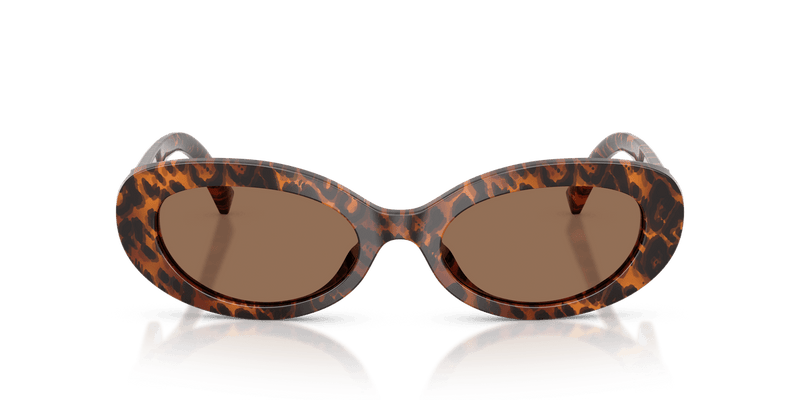 Dolce & Gabbana DG4537 in Leo Transparent / Dark Brown (347073) - Alternate View
