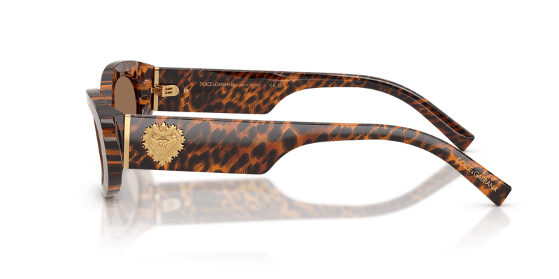 Dolce & Gabbana DG4537 in Leo Transparent / Dark Brown (347073) - Alternate View