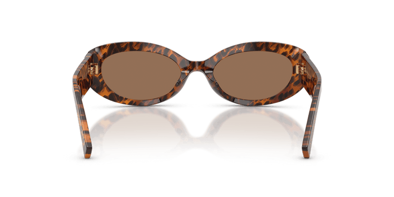 Dolce & Gabbana DG4537 in Leo Transparent / Dark Brown (347073) - Alternate View
