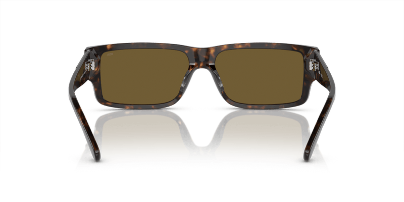 Diesel DL2003 in Shiny Dark Havana / Solid Brown - Alternate View