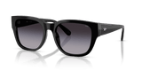Shiny Black / Grey Gradient