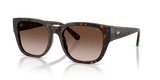 Havana Yellow / Brown Gradient