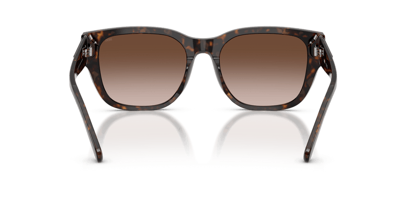 Diesel DL2005 in Havana Yellow / Brown Gradient - Back View