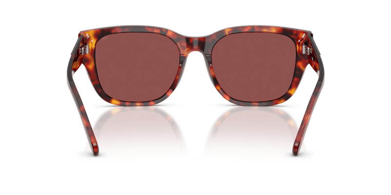 Diesel DL2005 in Havana Brown / Dark Violet/Red - Alternate View