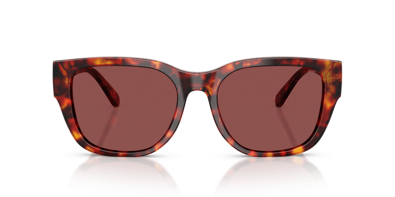 Diesel DL2005 in Havana Brown / Dark Violet/Red - Alternate View