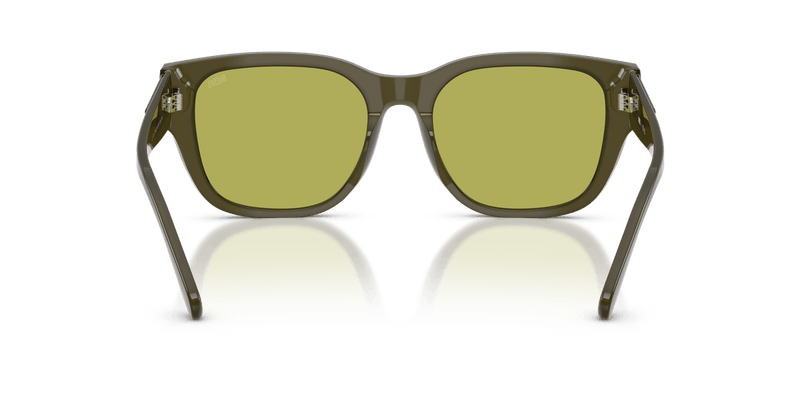 Diesel DL2005 in Solid Green / Light Green - Alternate View