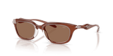 Crystal/Brown / Dark Brown (203373)