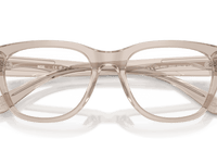 Transparent Taupe (2007)