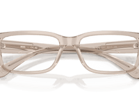 Transparent Taupe (2007)