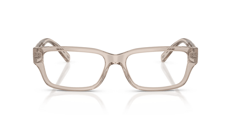 Diesel DL4002 in Transparent Taupe (2007) - Alternate View