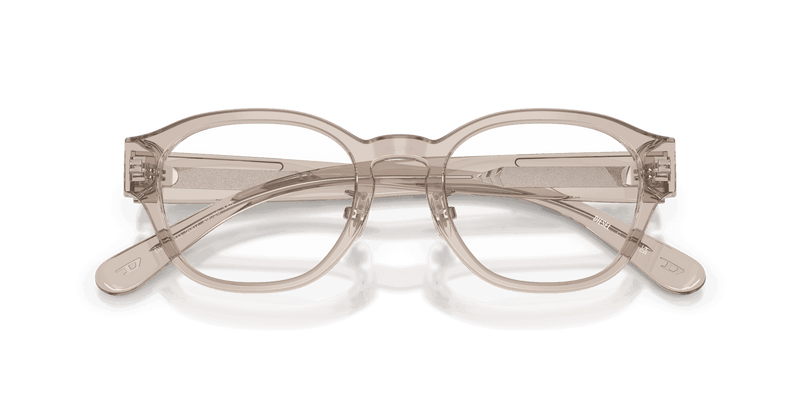 Diesel DL4011D in Transparent Taupe (2007) - Alternate View