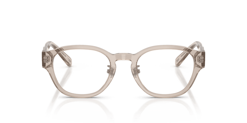 Diesel DL4011D in Transparent Taupe (2007) - Alternate View
