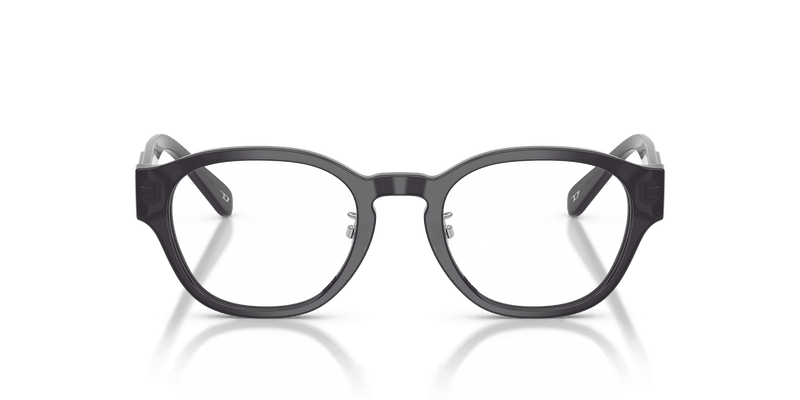 Diesel DL4011D in Transparent Dark Violet (2027) - Alternate View