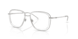 Shiny Silver (1001)