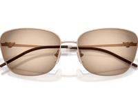 Shiny Rose Gold / Brown Grey Gradient (301113)