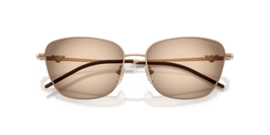 Shiny Rose Gold / Brown Grey Gradient (301113)