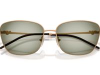 Metal Brown / Green Gradient Green (342713)