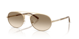 Matte Pale Gold / Yellow Gradient Brown (300213)