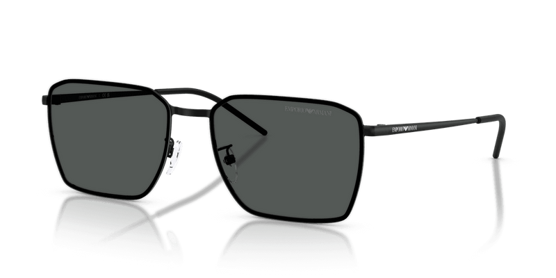 Emporio Armani EA2172D in Matte Black / Dark Grey (300187) - Alternate View