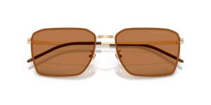 Shiny Pale Gold / Brown (301373)