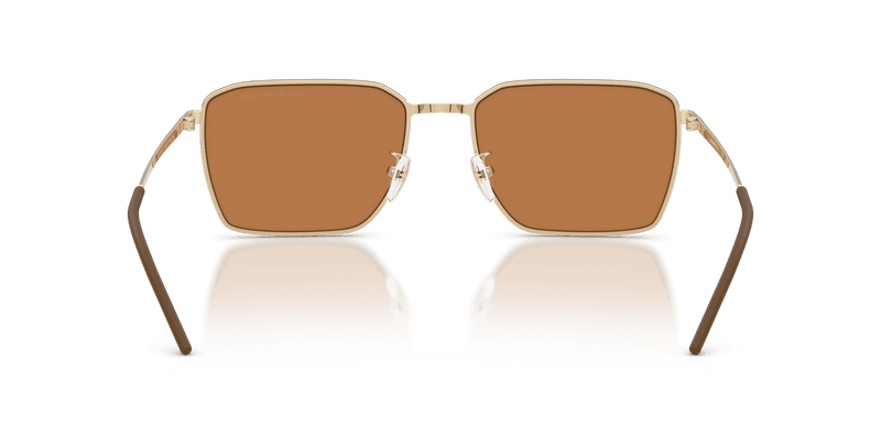 Emporio Armani EA2172D in Shiny Pale Gold / Brown (301373) - Alternate View