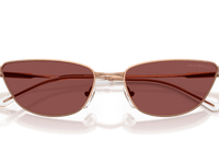 Shiny Rose Gold / Dark Violet (301175)