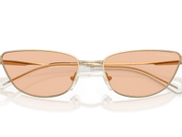 Shiny Pale Gold / Brown (301393)