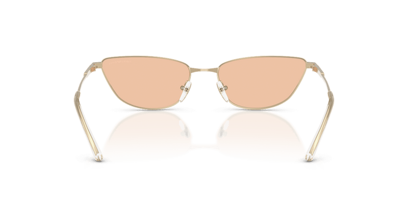 Emporio Armani EA2174B in Shiny Pale Gold / Brown (301393) - Alternate View