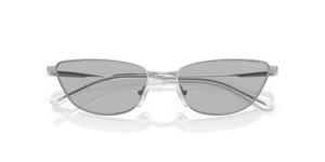 Shiny Silver / Light Grey (301587)