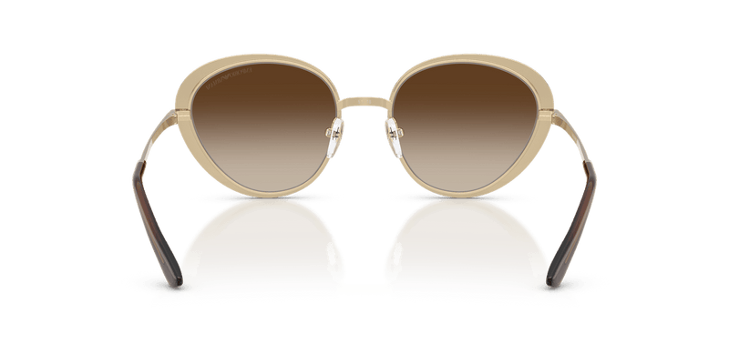Emporio Armani EA2177 in Matte Brown / Brown Gradient - Back View