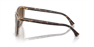 Transparent Tundra / Gradient Brown Polarized
