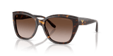 Shiny Havana / Brown Gradient