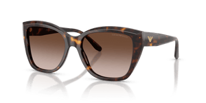 Shiny Havana / Brown Gradient