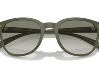 Matte Green / Green Gradient (60998E)