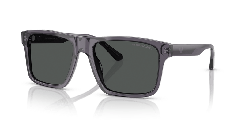 Emporio Armani EA4232 in Transparent Dark Grey / Smoke - Alternate View