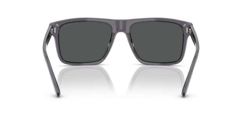 Emporio Armani EA4232 in Transparent Dark Grey / Smoke - Alternate View