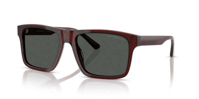 Emporio Armani EA4232 in Transparent Brown / Smoke - Alternate View