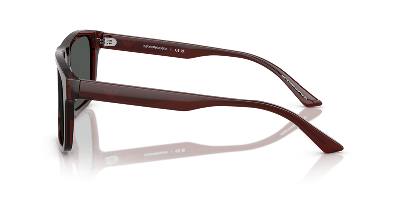 Emporio Armani EA4232 in Transparent Brown / Smoke - Alternate View