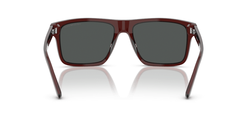 Emporio Armani EA4232 in Transparent Brown / Smoke - Alternate View