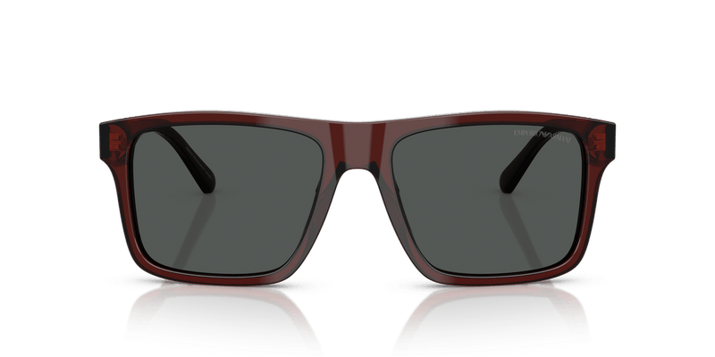 Emporio Armani EA4232 in Transparent Brown / Smoke - Alternate View