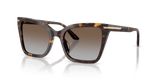 Shiny Havana / Grey Gradient Brown (502689)