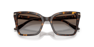 Shiny Havana / Grey Gradient Brown (502689)