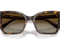 Shiny Havana / Brown Gradient Polarized (5026T5)