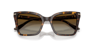 Shiny Havana / Brown Gradient Polarized (5026T5)