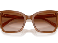 Tobacco / Brown Gradient (637613)